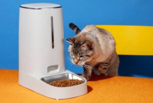 A cat examines an automatic feeder on a blue and yellow background.
