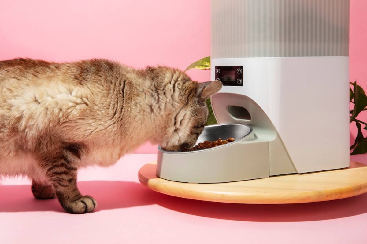 A tabby cat eating from a bowl served by an automatic pet feeder on a pink background. 